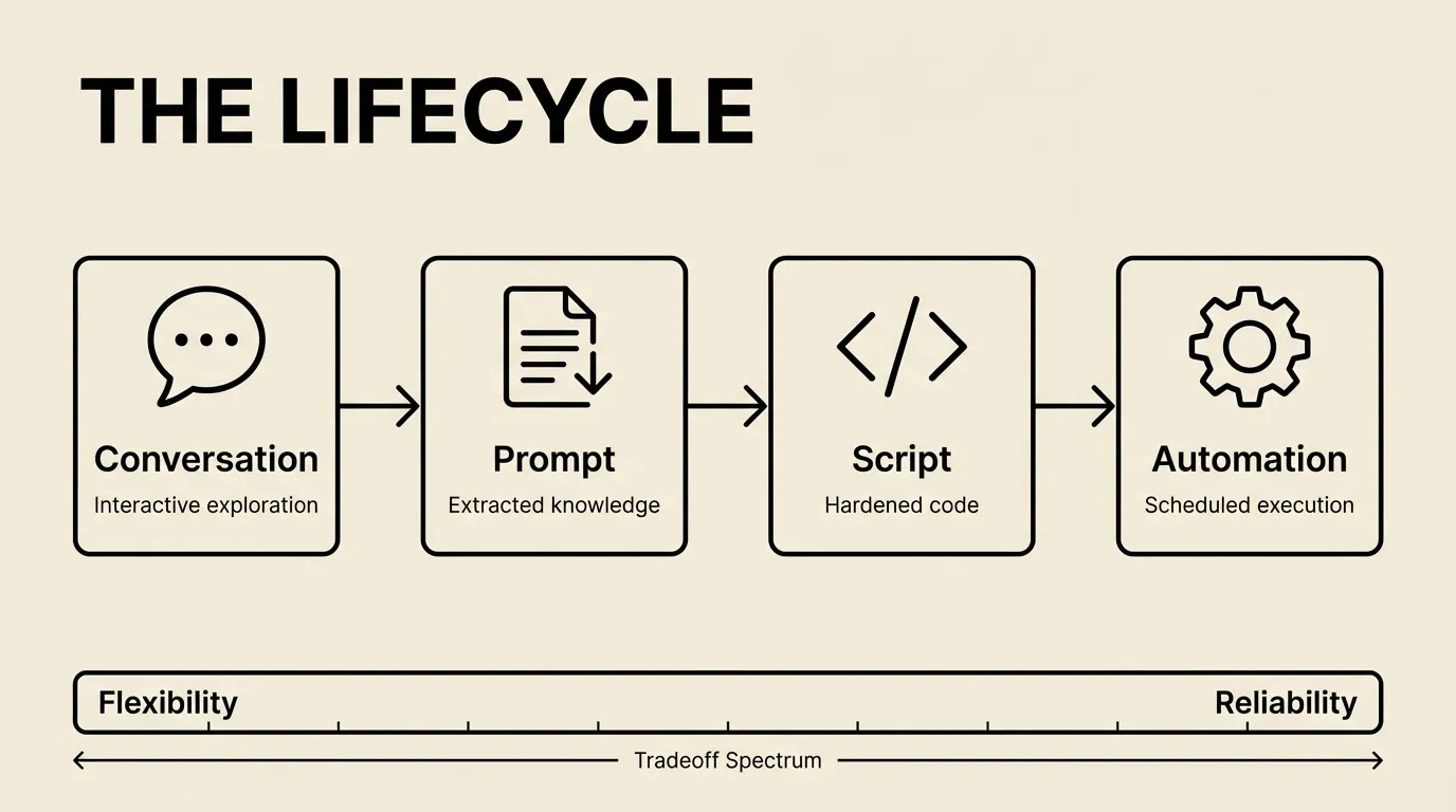 The Lifecycle